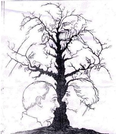 Strom a tve